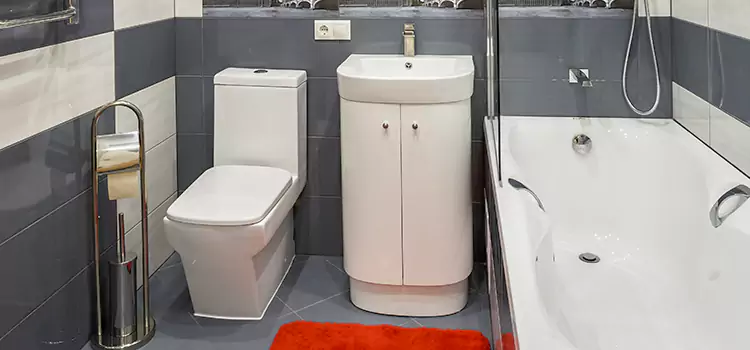 Hansgrohe Shaving Mirror Fort Wayne